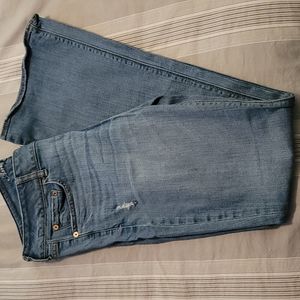 American Eagle Artist Jeans Size 12 Long
